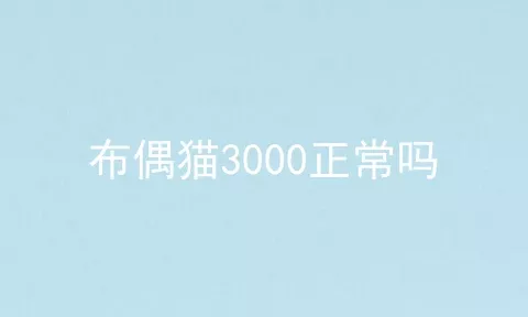 布偶猫3000正常吗