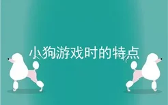 小狗游戏时的特点