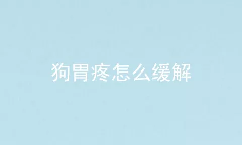 狗胃疼怎么缓解