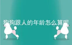 狗狗跟人的年龄怎么算呢