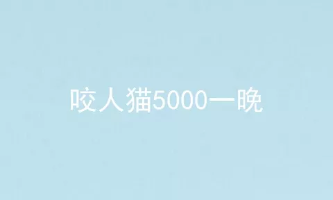 咬人猫5000一晚