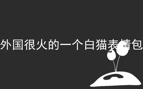 外国很火的一个白猫表情包