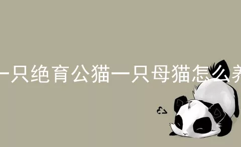 一只绝育公猫一只母猫怎么养