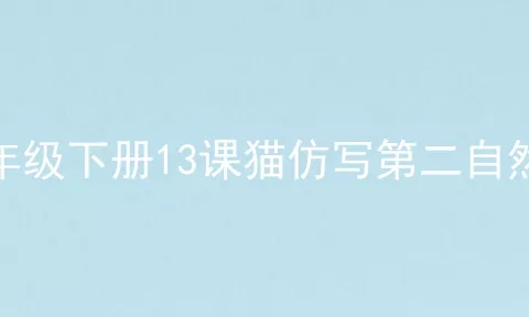 四年级下册13课猫仿写第二自然段