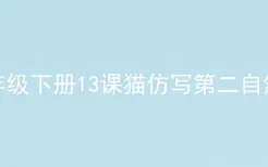 四年级下册13课猫仿写第二自然段