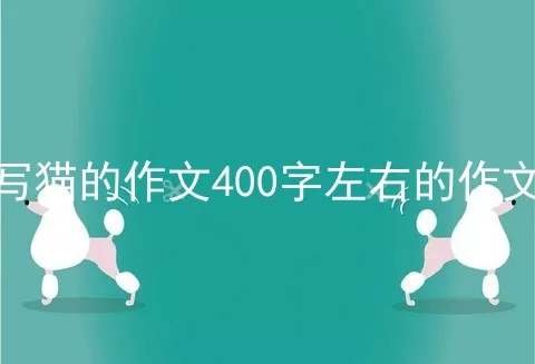 写猫的作文400字左右的作文