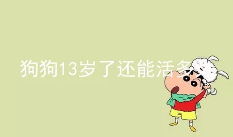 狗狗13岁了还能活多久