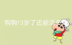 狗狗13岁了还能活多久