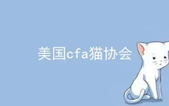 美国cfa猫协会