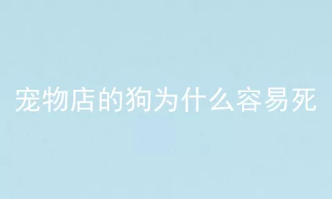 宠物店的狗为什么容易死