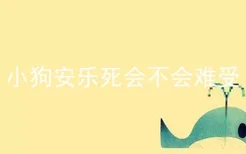 小狗安乐死会不会难受