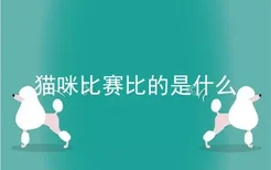 猫咪比赛比的是什么