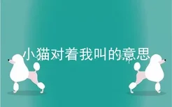 小猫对着我叫的意思