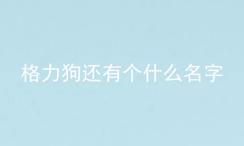 格力狗还有个什么名字