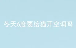 冬天6度要给猫开空调吗