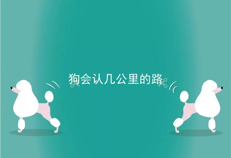 狗会认几公里的路