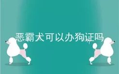 恶霸犬可以办狗证吗