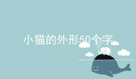 小猫的外形50个字