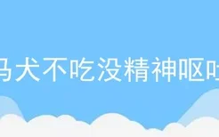 马犬不吃没精神呕吐