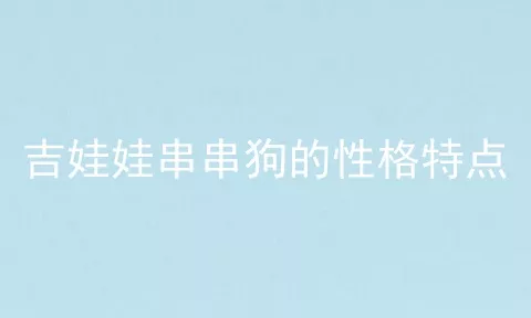 吉娃娃串串狗的性格特点