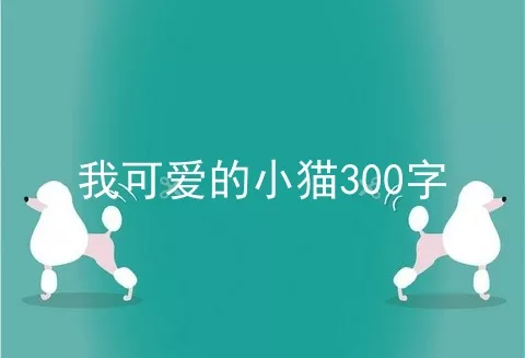 我可爱的小猫300字