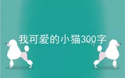 我可爱的小猫300字