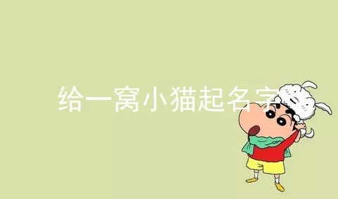 给一窝小猫起名字