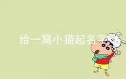 给一窝小猫起名字