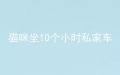 猫咪坐10个小时私家车