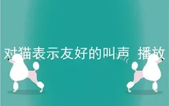 对猫表示友好的叫声 播放