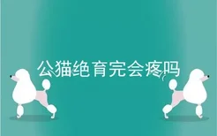 公猫绝育完会疼吗