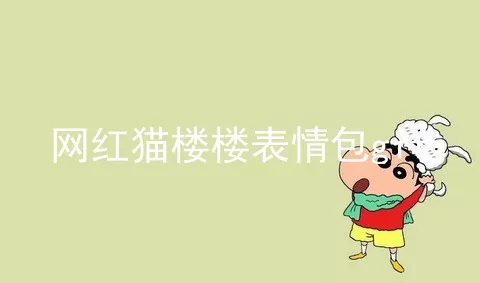 网红猫楼楼表情包gif