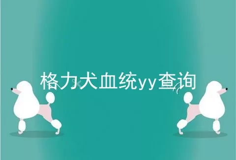 格力犬血统yy查询