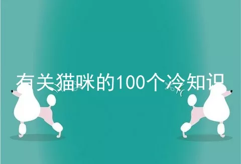 有关猫咪的100个冷知识