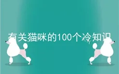 有关猫咪的100个冷知识