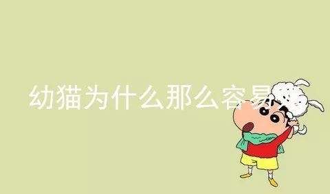 幼猫为什么那么容易死