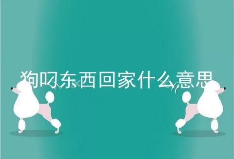 狗叼东西回家什么意思