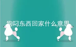 狗叼东西回家什么意思