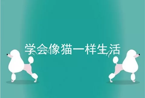 学会像猫一样生活