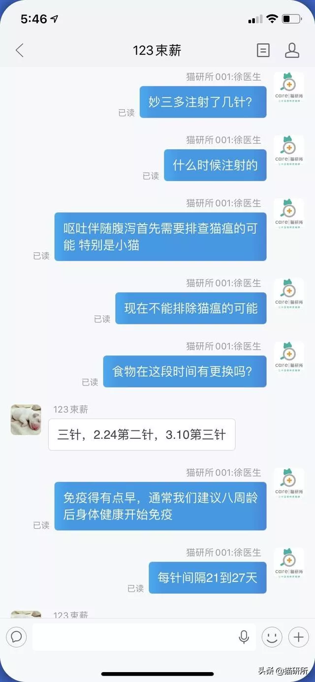 怎么检测猫不是星期猫(怎么检查是不是星期猫)