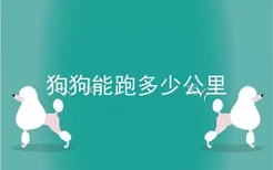 狗狗能跑多少公里