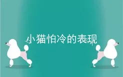 小猫怕冷的表现