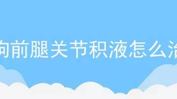 狗狗前腿关节积液怎么治疗