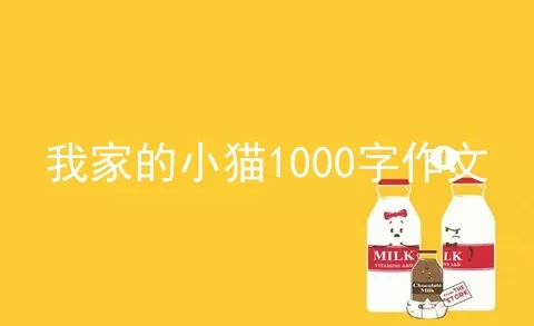 我家的小猫1000字作文