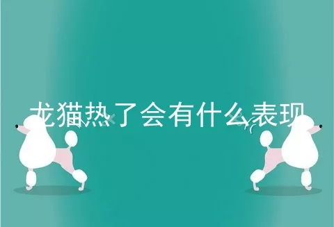 龙猫热了会有什么表现