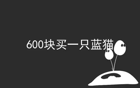 600块买一只蓝猫