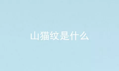 山猫纹是什么