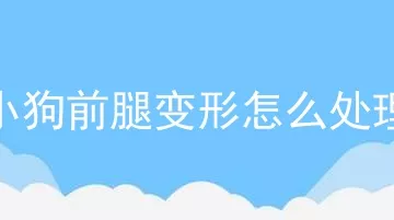 小狗前腿变形怎么处理