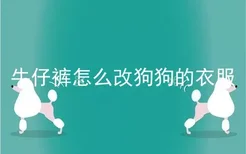 牛仔裤怎么改狗狗的衣服