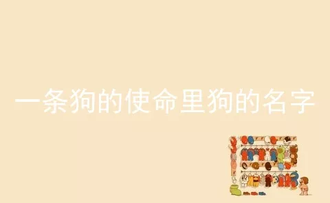 一条狗的使命里狗的名字